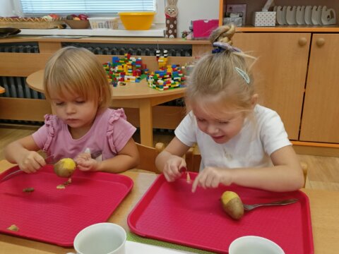 WhatsApp Image 2026-02-22 at 20.14.30 (2)