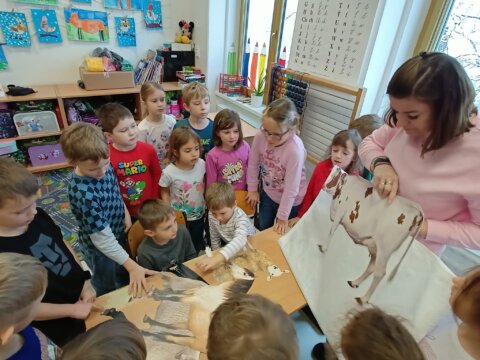 WhatsApp Image 2026-02-22 at 20.14.32 (6)