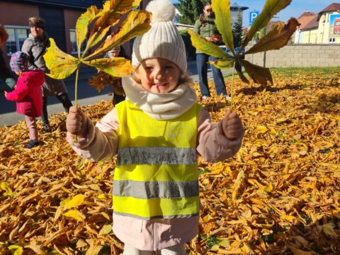 WhatsApp Image 2026-02-23 at 07.45.11 (10)