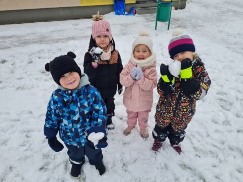 WhatsApp Image 2026-02-23 at 07.45.11 (7)